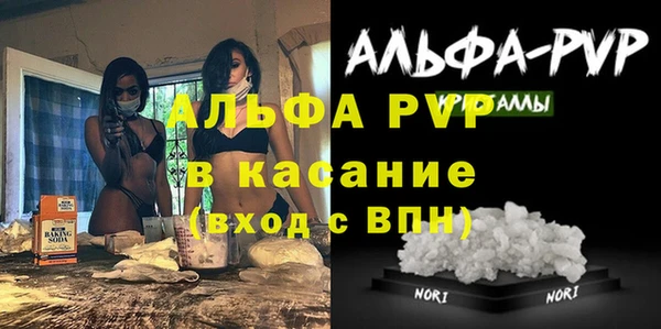прущие грибы Алзамай