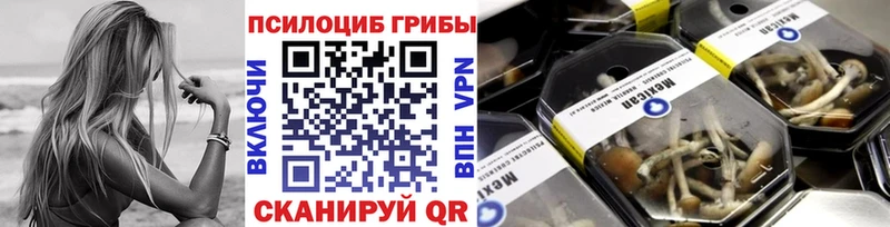 Псилоцибиновые грибы GOLDEN TEACHER купить наркотики цена Елизаветинская