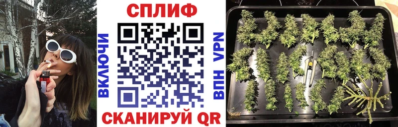 Конопля Amnesia  купить наркоту  Елизаветинская 